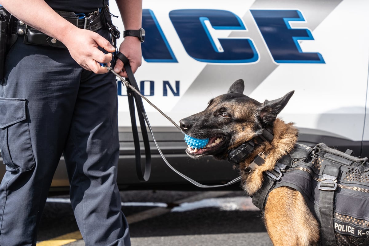 Professional K9 handler with detection dog